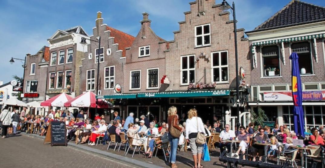 Huisje Britt Met Grote Tuin En Veel Privacy Dirkshorn Dış mekan fotoğraf