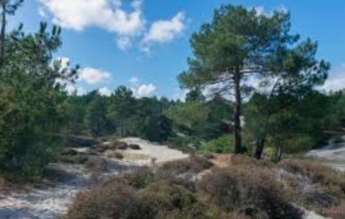 Huisje Britt Met Grote Tuin En Veel Privacy Dirkshorn Dış mekan fotoğraf