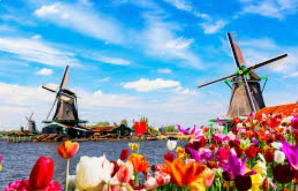 Huisje Britt Met Grote Tuin En Veel Privacy Dirkshorn Dış mekan fotoğraf