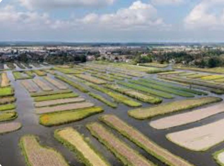 Huisje Britt Met Grote Tuin En Veel Privacy Dirkshorn Dış mekan fotoğraf